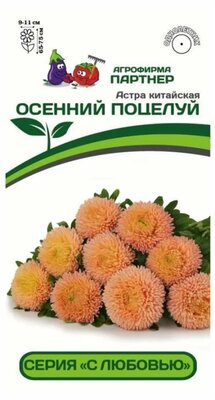 Семена Астры китайской "Осенний поцелуй" серия "С любовью"(5 семян в ампуле)