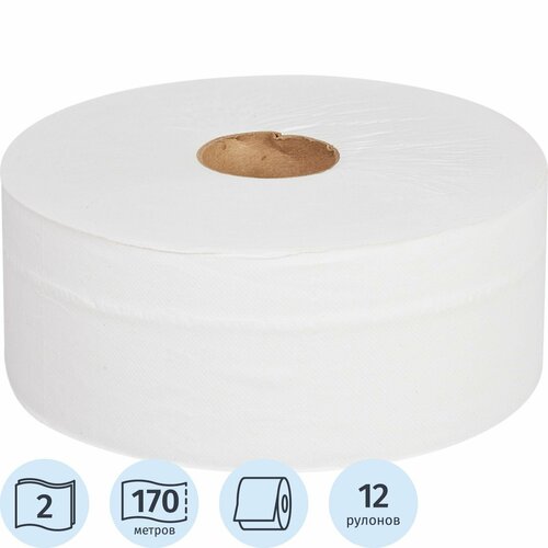 Туалетная бумага Luscan Professional белая двухслойная 170 м 12 рул., белый, без запаха туалетная бумага мягкоff белая двухслойная тб м 2 4б 16 4 рул