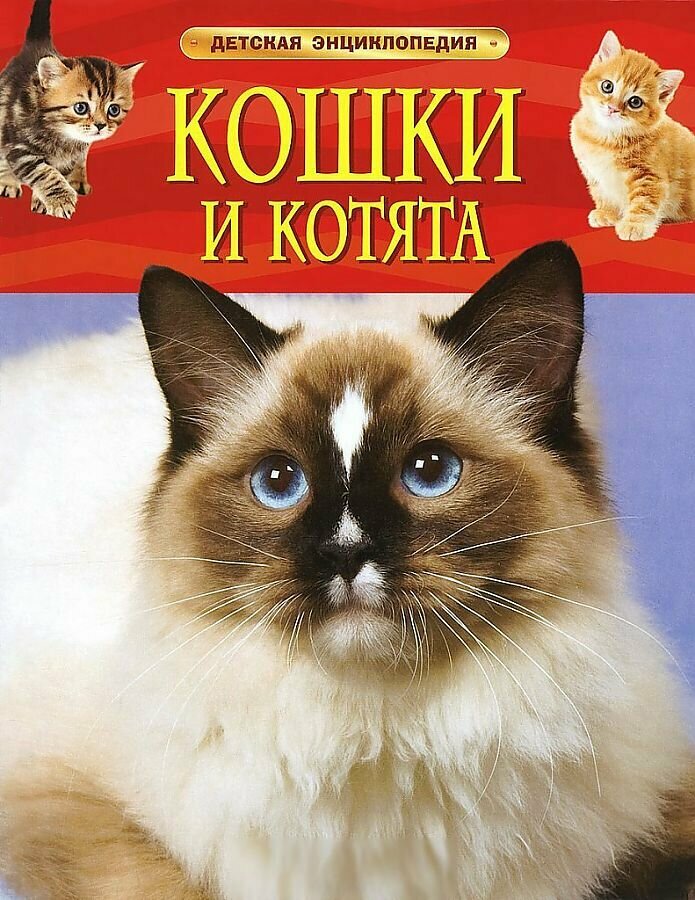 Кошки И котята Детская Энциклопедия Формат а4, красная, РОСМЭН