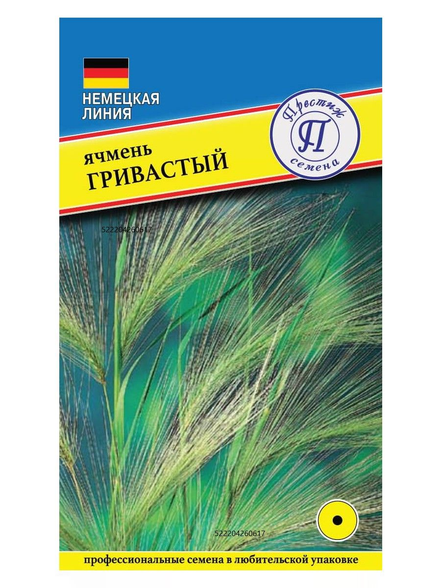 Ячмень Гривастый. Семена. Декоративный злак. Высота колоса около 60 см. Цвет зеленый позже ярко-желтый и розовый. Растение на срезку и засушку