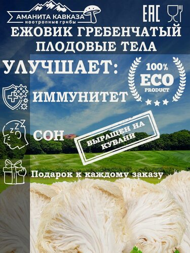 Изображение товара Ежовик Гребенчатый тела 500 гр. / для всей семьи / Hericium Erinaceus