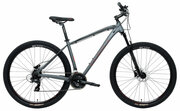 Горный велосипед Welt Raven 1.0 HD 29 (2024) 20" Светло-серый (180-190 см)