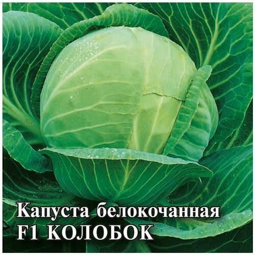 Семена Капуста белокочанная Колобок F1, 10г, Гавриш, Фермерское подворье