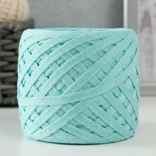 Трикотажная пряжа Риббон 85м1705 гр Мятный 752₽