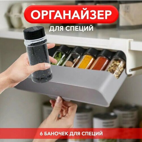 Контейнер для специй и сыпучих продуктов. Органайзер из 6 пластиковых банок для приправ от Zodiak-Shop