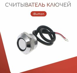 Считыватель ключей iButton Touch Memory, врезной TM