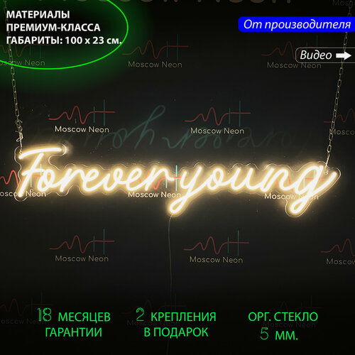Изображение товара Неоновый светильник, неоновая светодиодная вывеска на стену, настенная неоновая лампа, надпись "Forever young" для дома и бизнеса, 100 х 23 см.