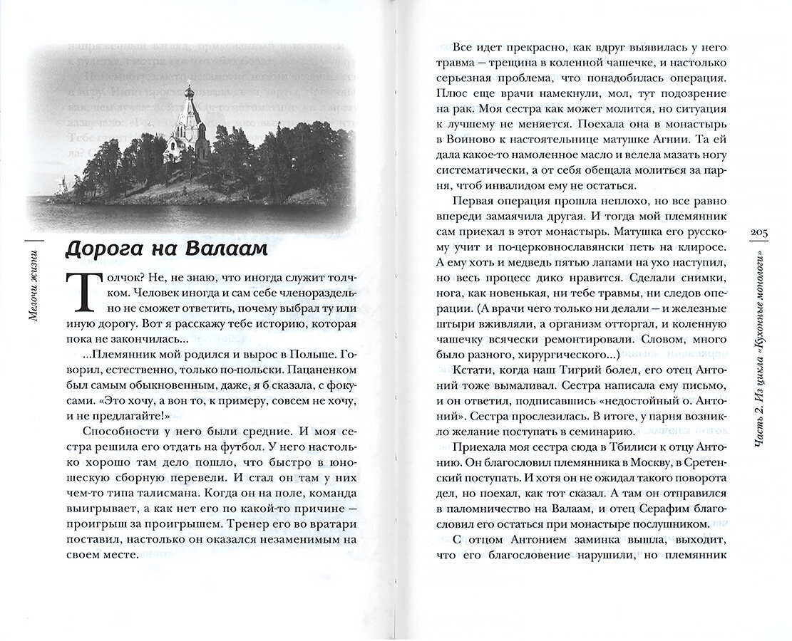 Мелочи жизни. Рассказы (Сараджишвили Мария Георгиевна) - фото №2