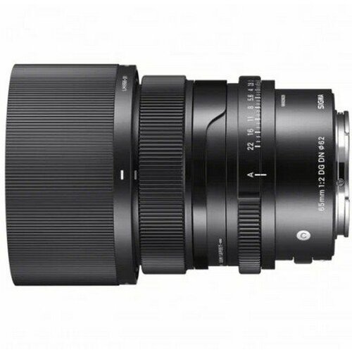 Sigma 65mm f/2 DG DN C Sony E браслеты dg jewelry 625513 e