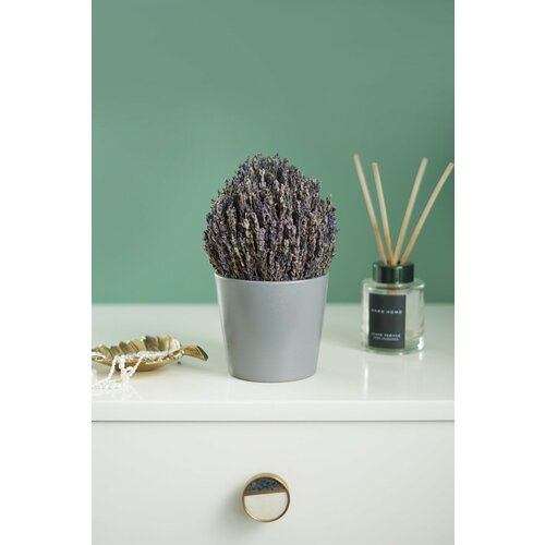 Букет ароматной лаванды в сером керамическом кашпо