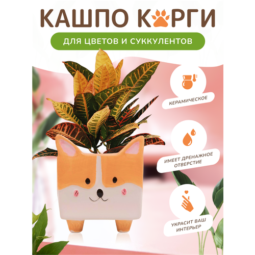 Кашпо корги ваза для цветов керамический горшок для суккулентов домашнее украшение 559₽