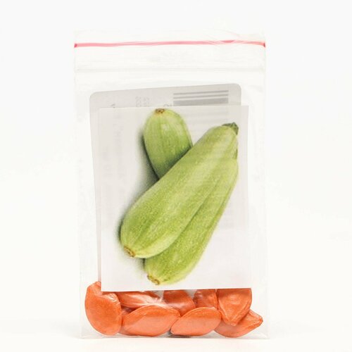 Семена Кабачок 