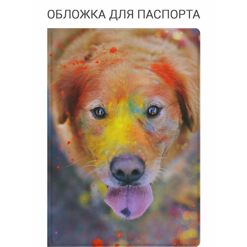 фото Обложка для паспорта slvgo, красный, желтый, синий, белый
