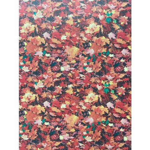 Ursus Фотокартон 495х68см 300гр Опавшие листья 480₽