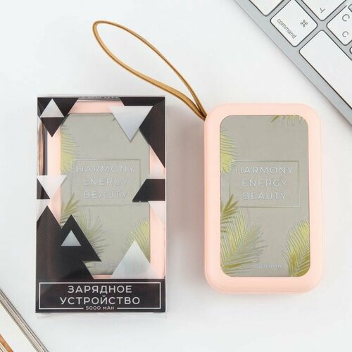 Зарядное устройство Harmony 5000мА мод PB-02 104 х 64 см 152900₽