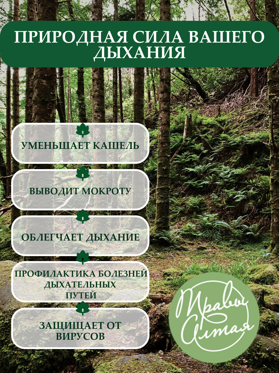 Чайный напиток Altay Seligor Исландский Мох, 20 пакетиков — фото 1