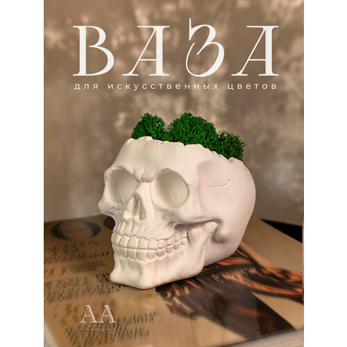 Ваза декоративная из гипса для мха Череп 497₽