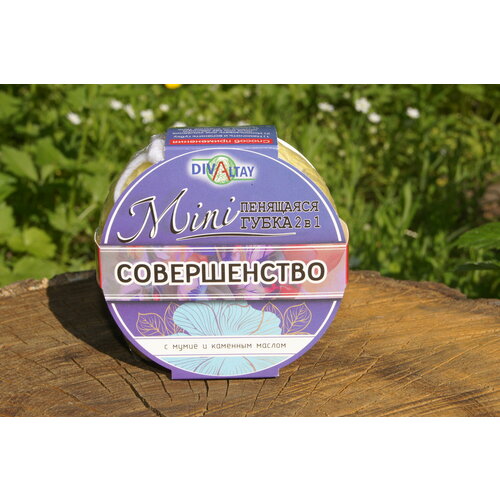 Губка пенящаяся 2в1 