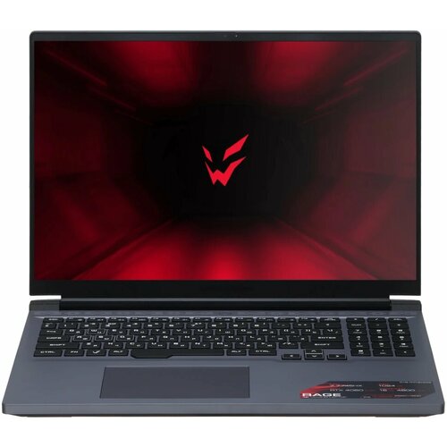 16 Ноутбук ARDOR Gaming RAGE R16-R7ND403 2560x1600 IPS AMD Ryzen 7 7745HX RAM 16 ГБ SSD 1000 ГБ GeForce RTX 4060 - 8 ГБ без ОС серый 131634₽