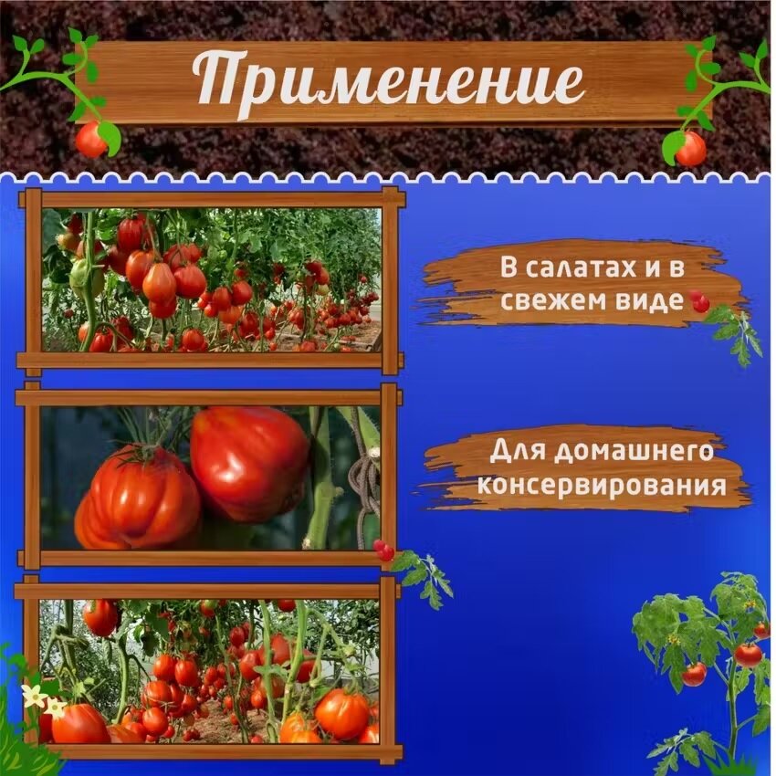 Семена Томат пузата хата, Агрофирма Аэлита- 2 упаковки -40шт- семян