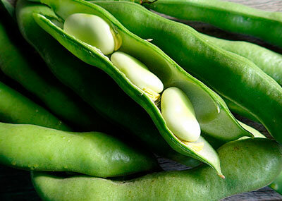 Семена фасоли Сахарная лопатка (овощная спаржевая) 5 гр.