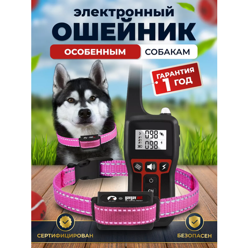 Электронный ошейник для дрессировки собак PD-529-PRO