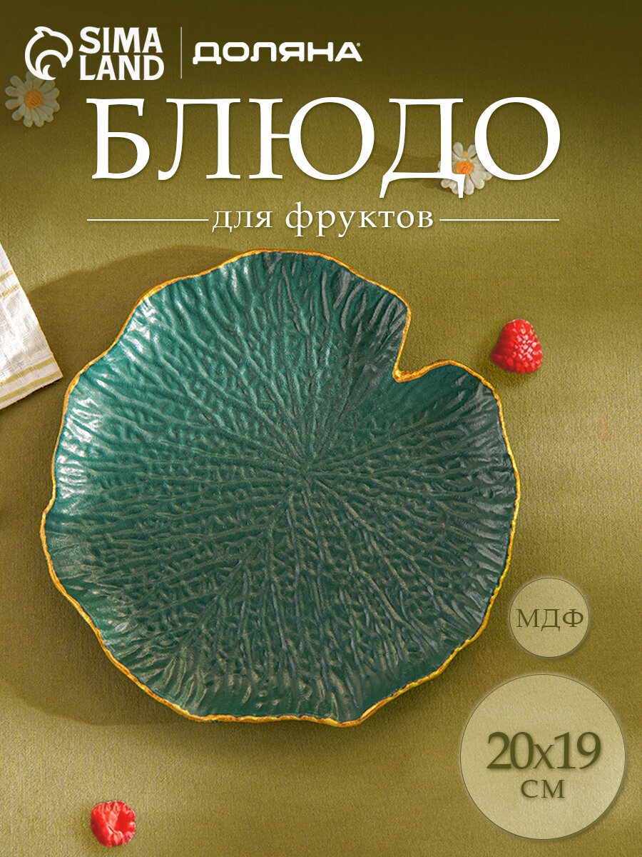 Блюдо для фруктов Доляна «Кувшинка», 20×19 см, мдф, цвет зелёный