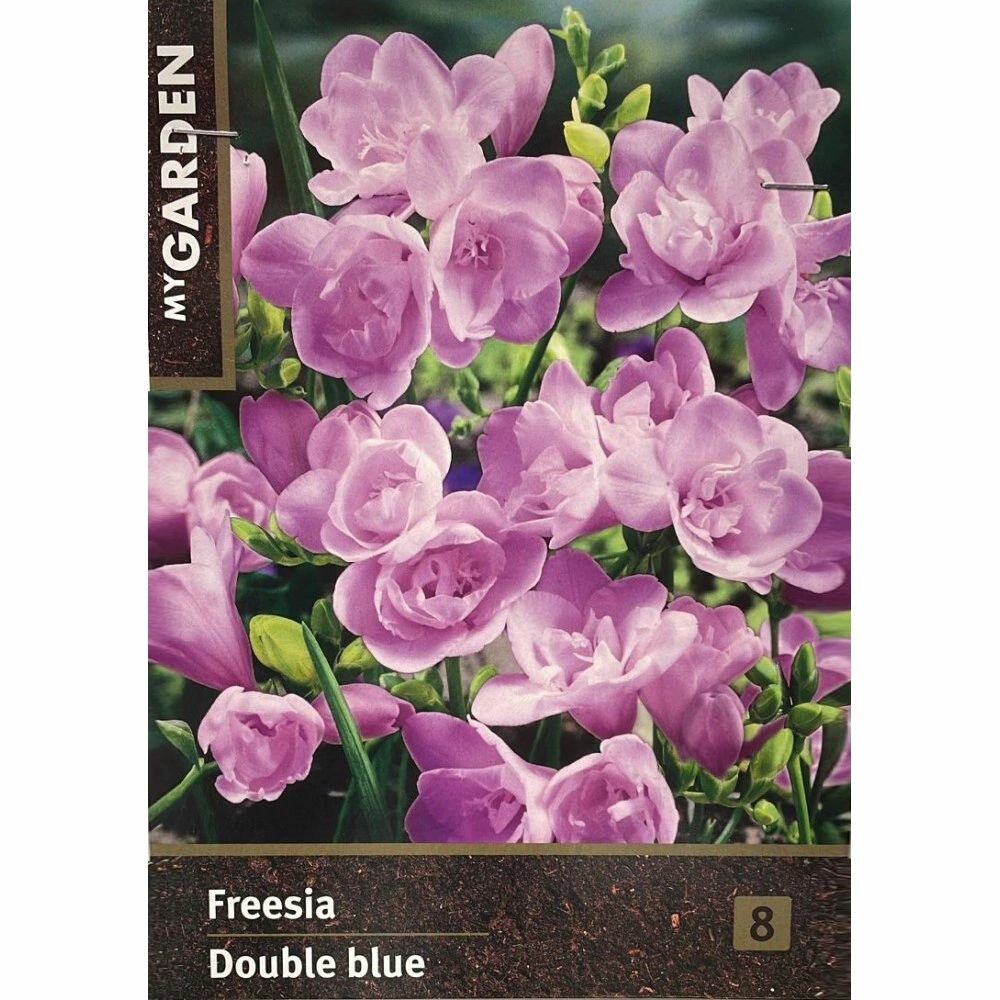 Фрезия махровая голубая 8 шт