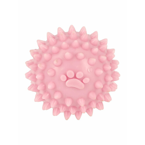 LADY PINK