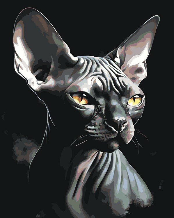 Картина по номерам ЖПН на холсте с подрамником "Черный кот сфинкс", Раскраска 40x50 см, Кошки Животные