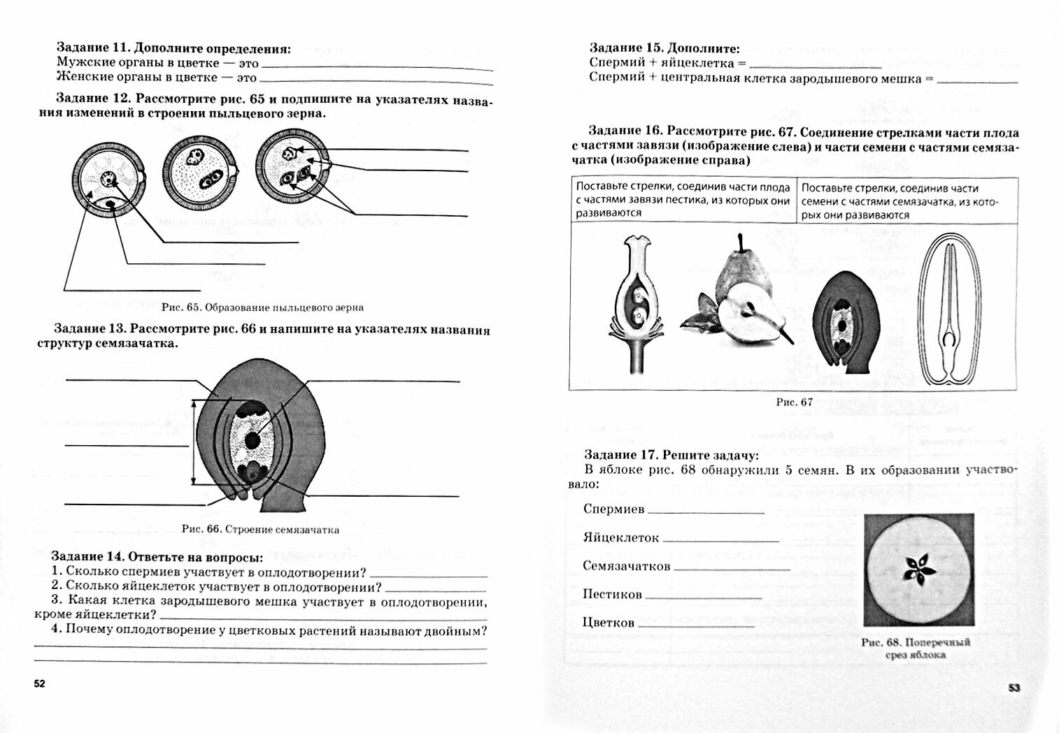 Биология. 7 класс. Растения. Бактерии. Грибы и лишайники. Рабочая тетрадь - фото №3