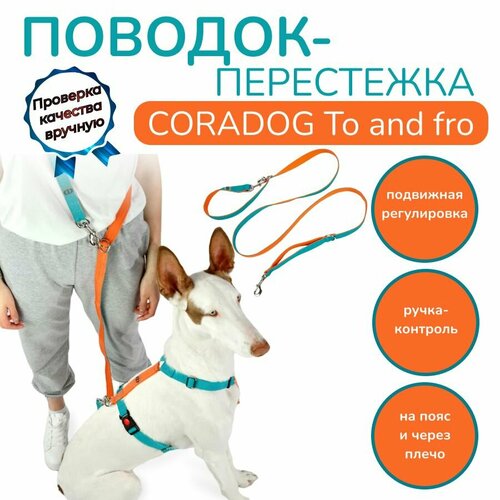 Поводок-перестежка с ручкой контролем и подвижным кольцом, hands free - свободные руки, CORADOG To and fro, длина 2,5 м, для маленьких пород собак, цвет бирюзовый, оранжевый