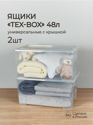 Комплект ящиков для хранения с крышкой Tex-box 48л*2шт, 57*38*27,2 см (Прозрачный)