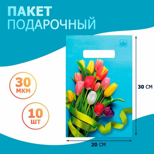 Пакет подарочный полиэтиленовый с вырубной ручкой 300x200 мм, 30 мкм, набор 10 шт