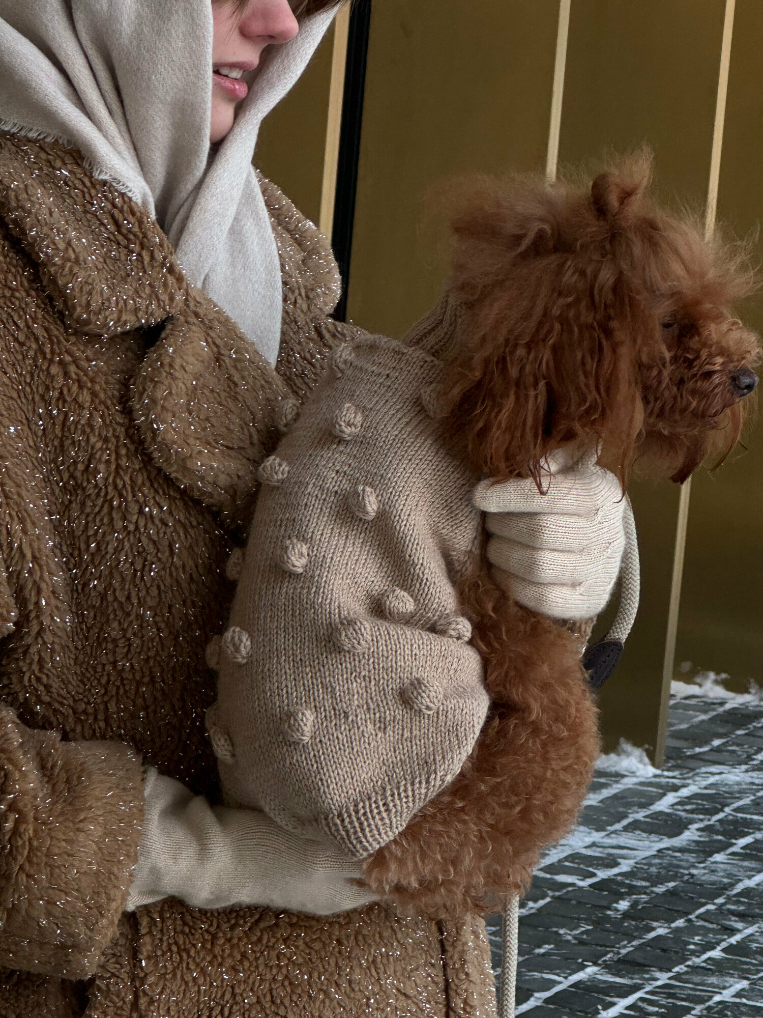 Жилетка для собак DAISY