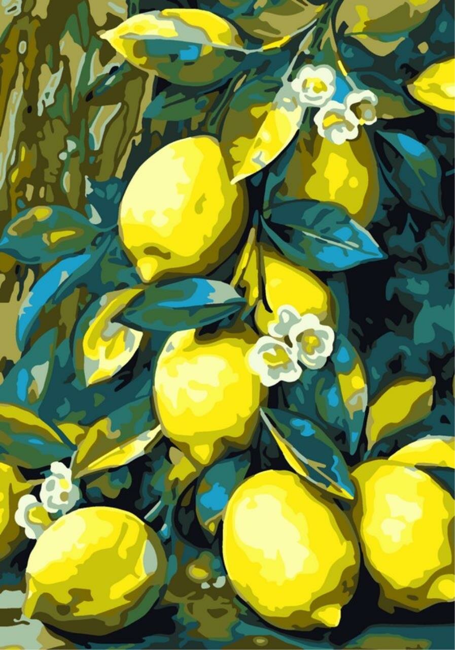 Картина по номерам на картоне 20x28,5 см "Лимоны" в к 34,5x20,5x1,9 см