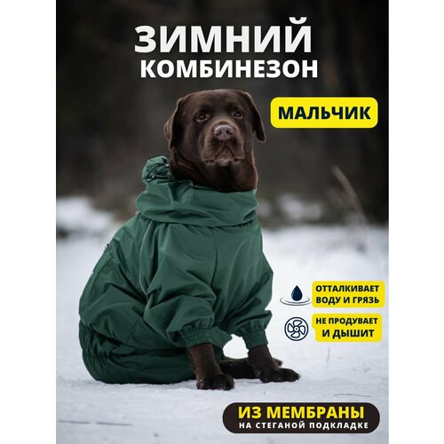 Комбинезон зимний для собак средних пород SNOW plus, 45+м (кобель), авокадо, 2XL+