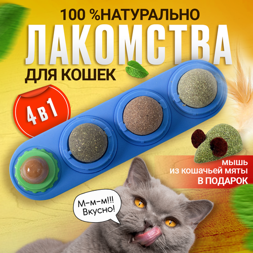 Леденец с кошачьей мятой, шарик лакомство для кошек 3 шт + конфета + мышка из кошачьей мяты . Цвет синий