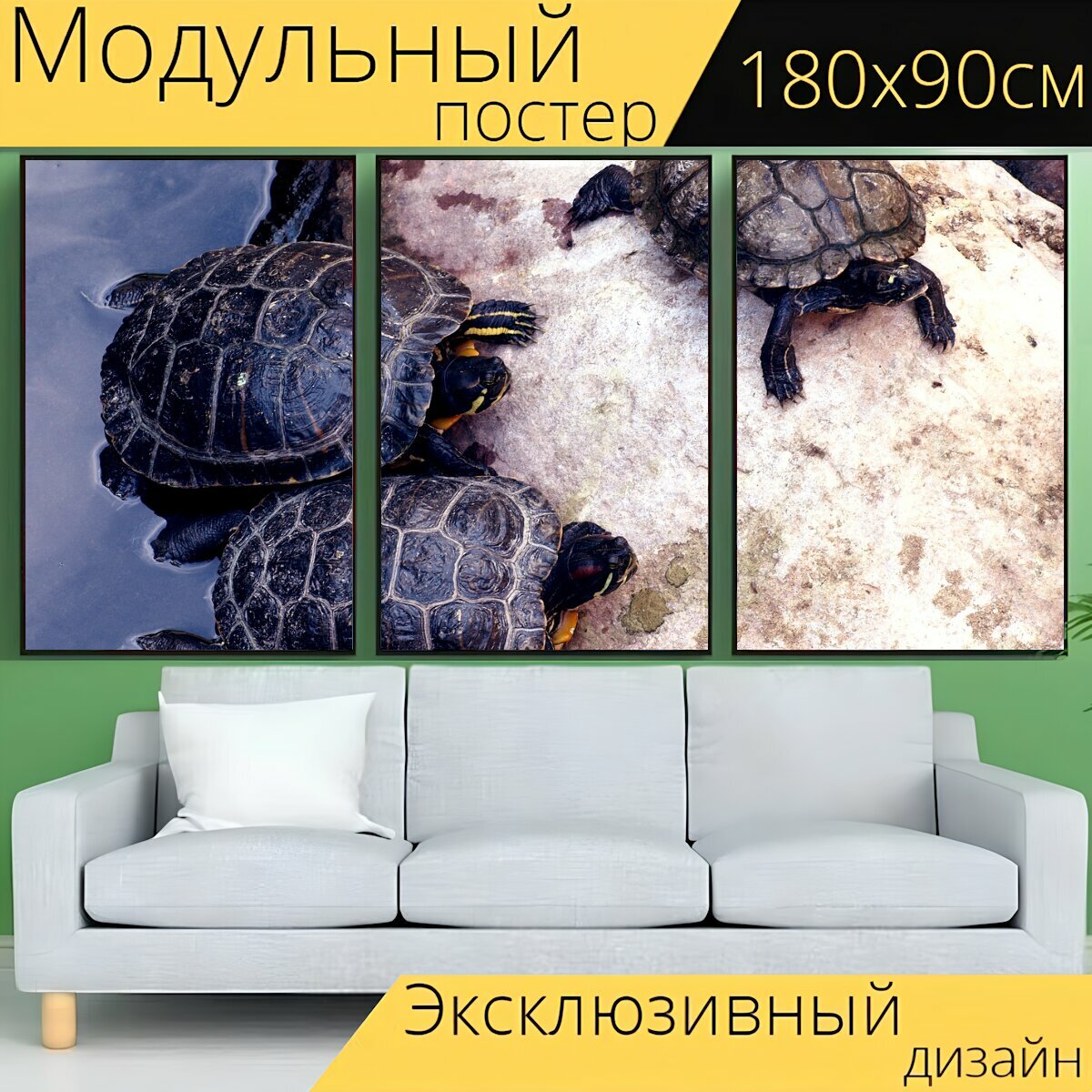 Модульный постер "Черепаха, природа, дикая природа" 180 x 90 см. для интерьера