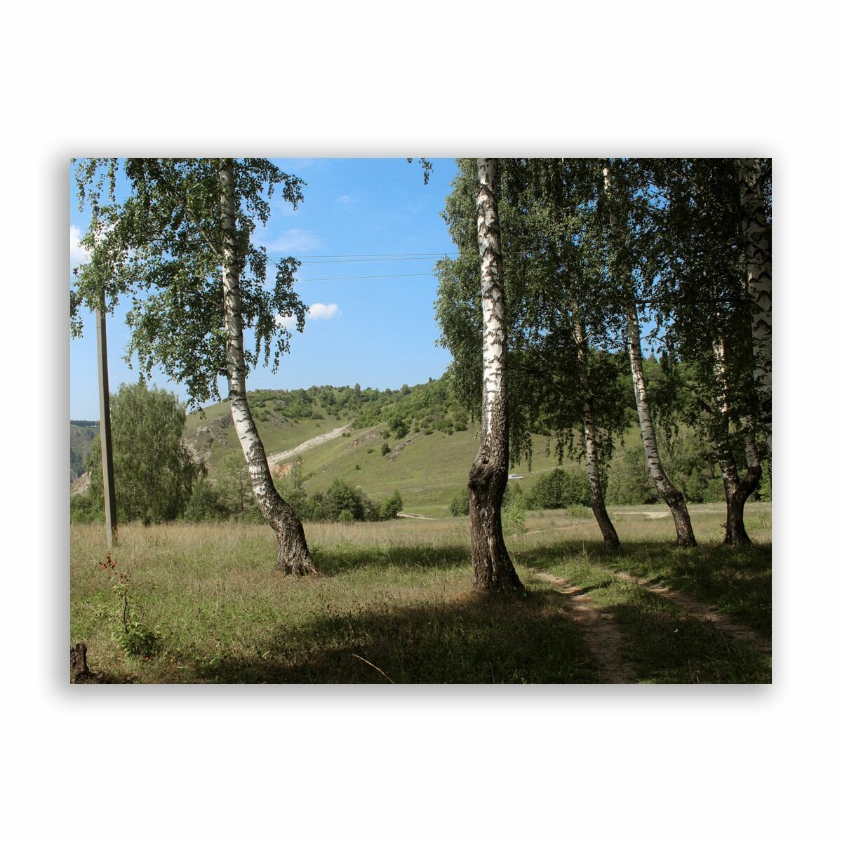 Постер  плакат на бумаге   Природа России   Лес   Размер 40 x 53 см