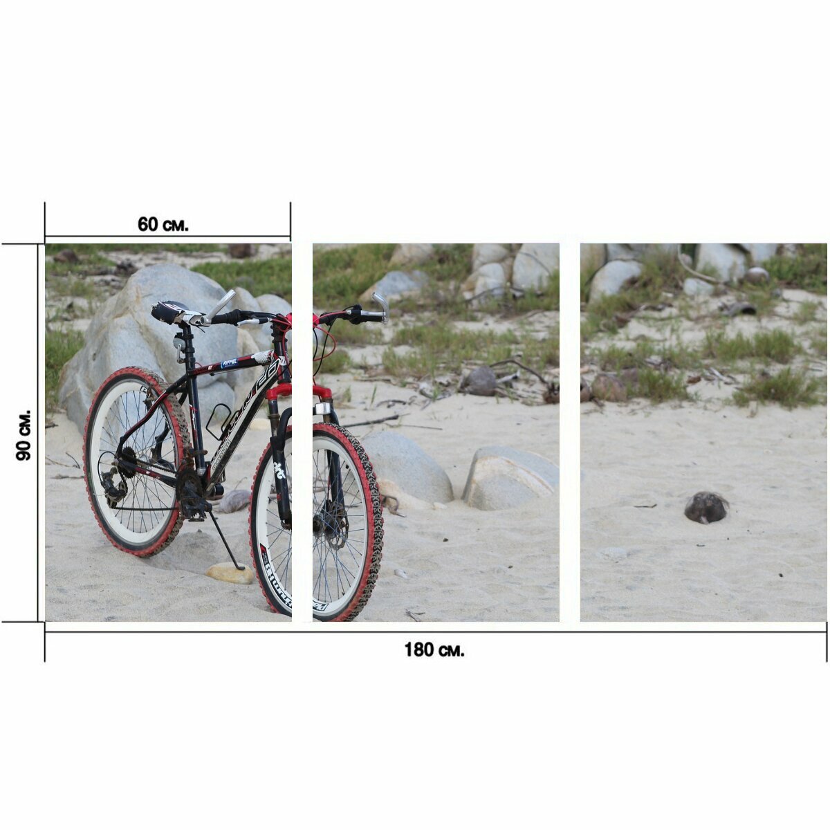 Модульный постер "Велосипед, велоспорт, байкер" 180 x 90 см. для интерьера