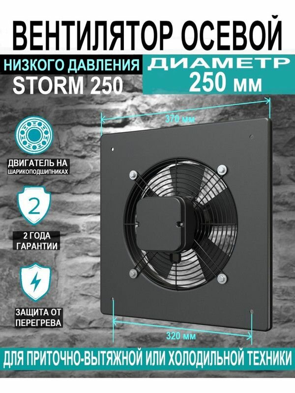 Вентилятор накладной STORM D250 2 полюс ERA PRO