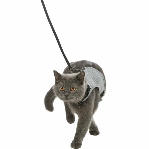 Шлейка для кошек Trixie Cat Harness zee cat atlanta harness