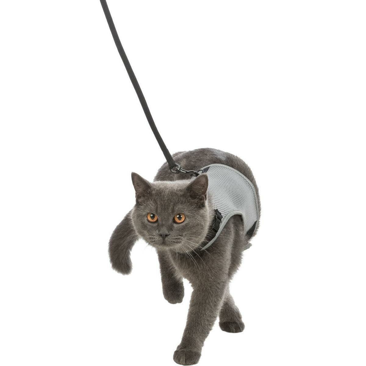 Шлейка для кошек Trixie Cat Harness
