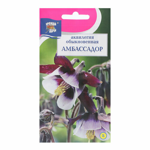 Семена цветов Аквилегия Амбассадор, 0,05 г набор семян семена многолетних цветов аквилегия виола дельфиниум тысячелистник и т д