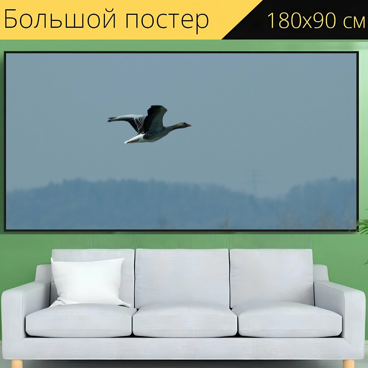 Большой постер "Дикий гусь, водоплавающая птица, серый гусь" 180 x 90 см. для интерьера