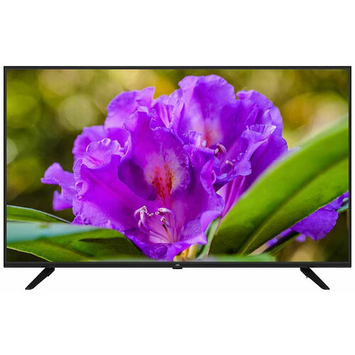 OLTO Телевизор 50ST30U 50 4K UHD черный 2850000₽