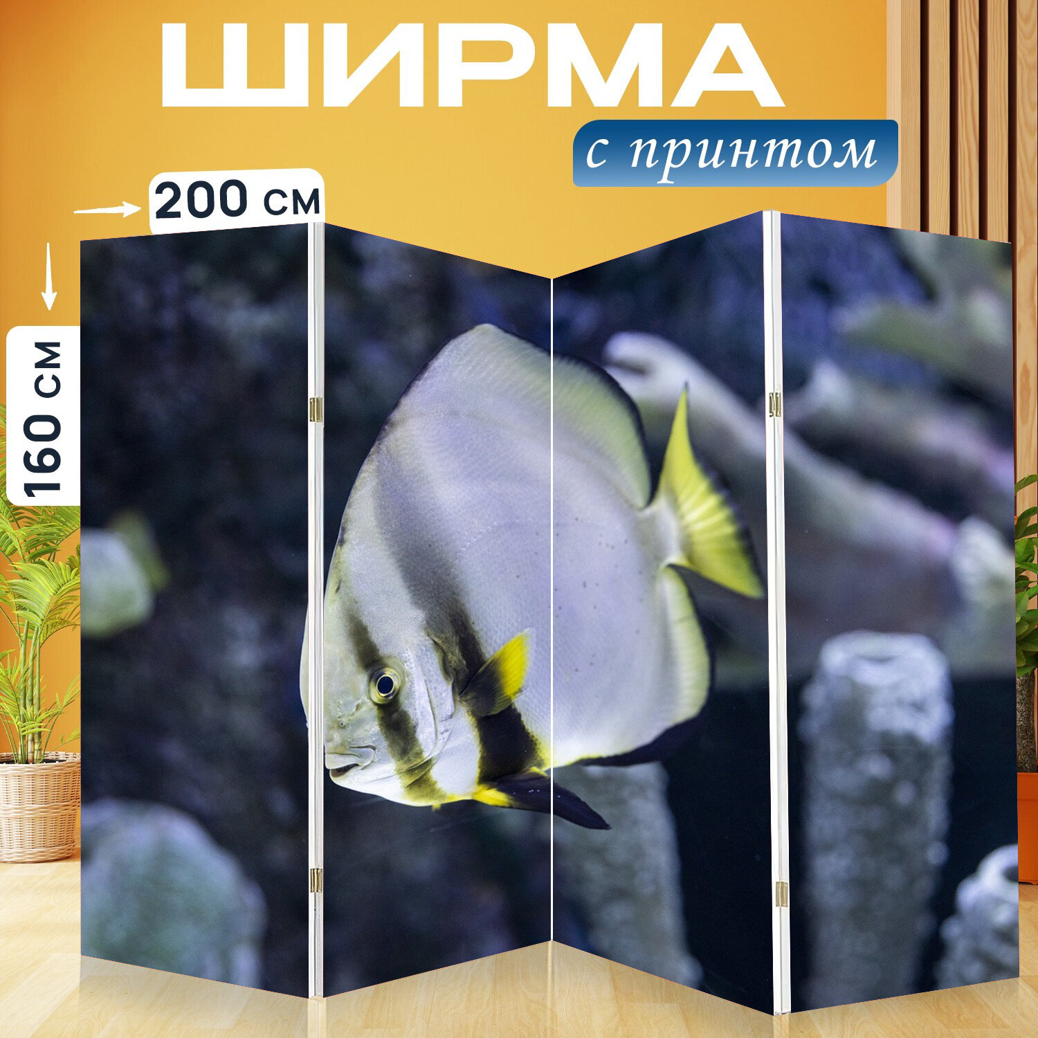 Ширма перегородка с принтом "Рыба, рыбы, море" на холсте - 200x160 см. для зонирования, раскладная