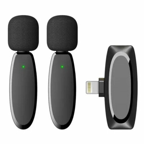 Радиосистема с петличным микрофоном Simply Fly CYA05 B L 330400₽