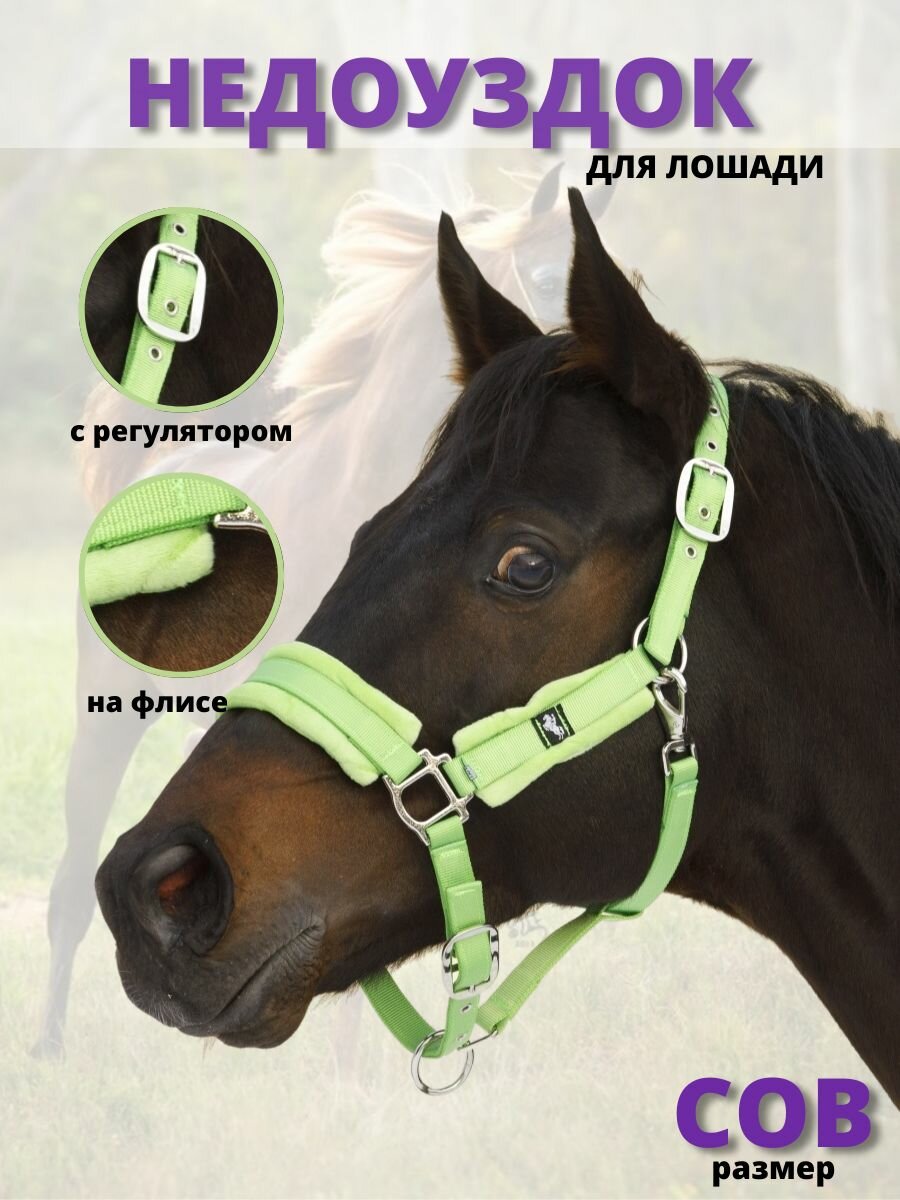 Sweethorse / Недоуздок